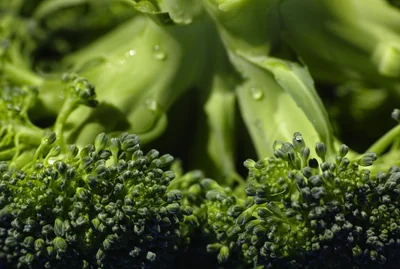 Adoptez une alimentation anti-inflammatoire au quotidien avec ces conseils 2026